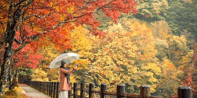 日本的四季旅遊