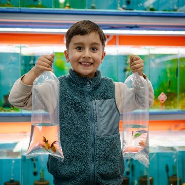 Smiling boy holding two bags with fish in a pet store.
