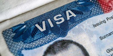 Close-up of a visa document showing detailed security patterns and partial photo.