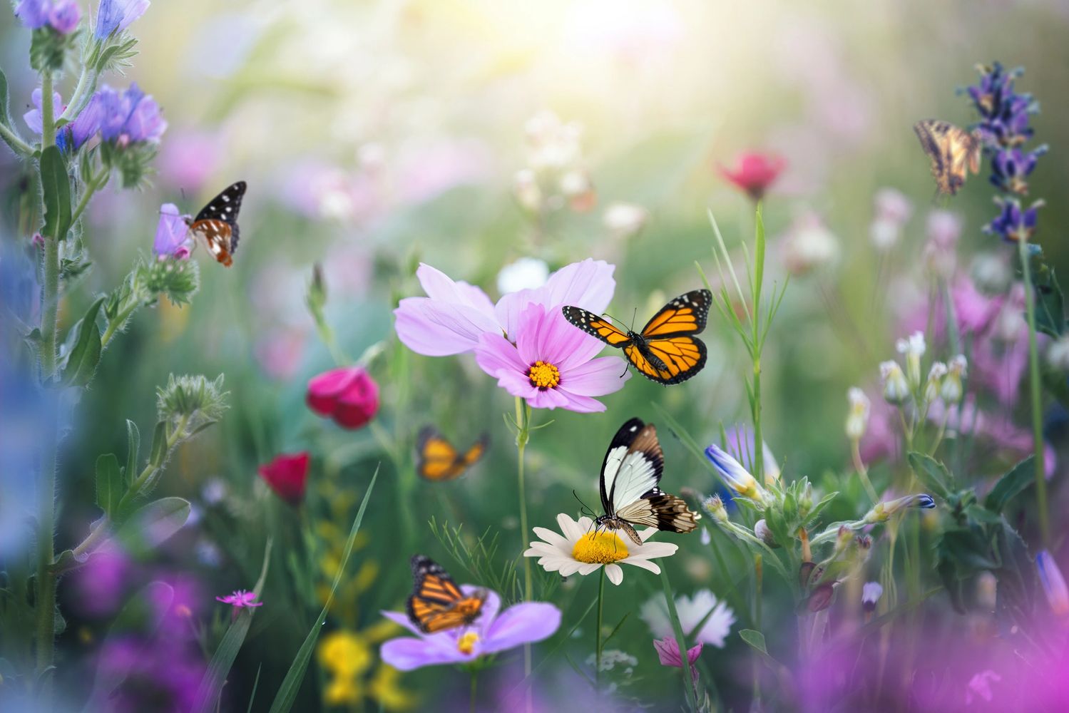 Stack of books next to pencils in a holder and a camera.