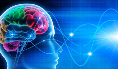 Rewire your brain