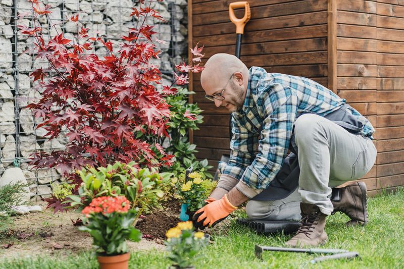 Male gardener worker planting flowers in the garden horizontal shot
