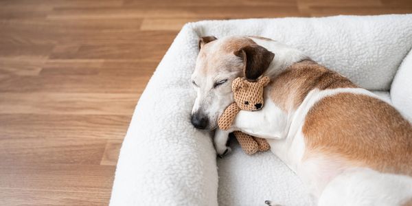 Air Conditioning make home more comfortable