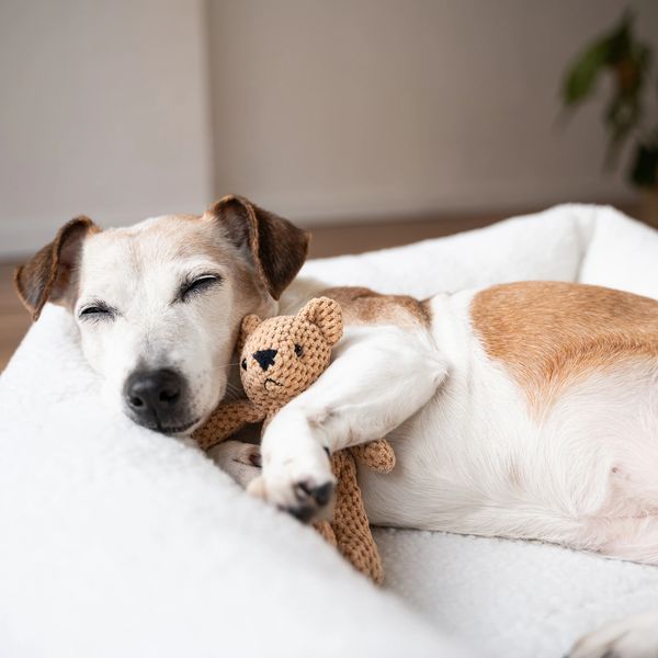 A dog sleeping peacefully with a crocheted teddy bear in a cozy bed.
