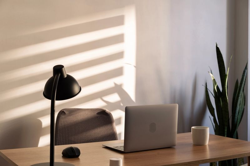 Cozy home office setup with laptop, lamp, and plant, illuminated by warm sunlight streaming through blinds