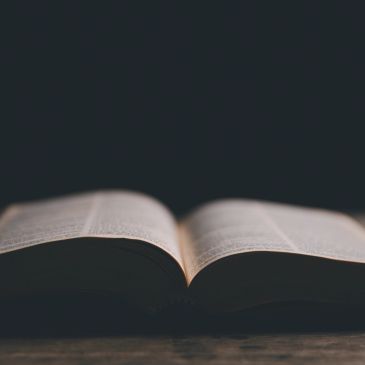 Open book on a dark background.