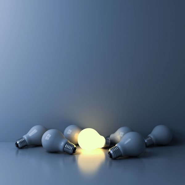 One glowing light bulb among unlit ones.