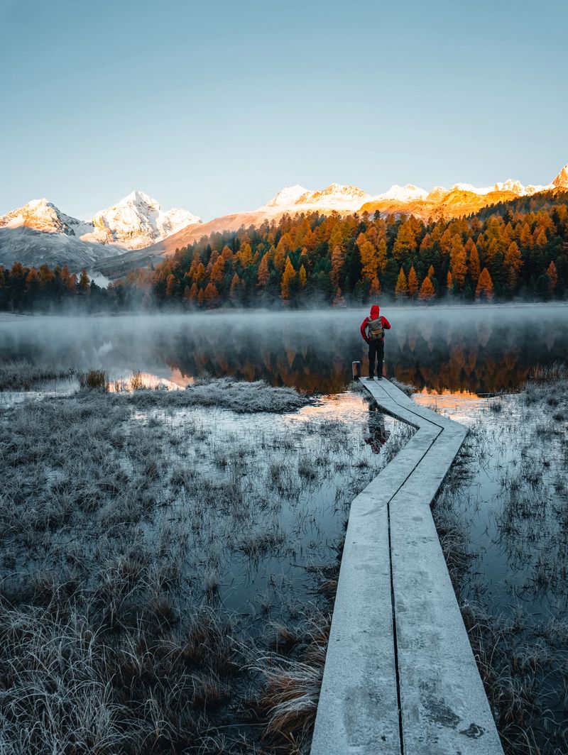 Young man stands on boardwalk over mountain lake on frosty morning and forest in autumn colour, sunrise, Engadine, Graubunden Canton, Swiss Alps