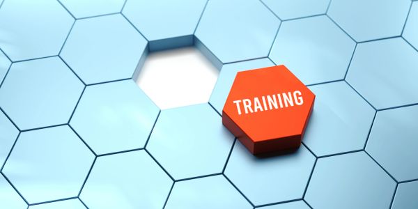 Red hexagonal block labeled TRAINING on blue hexagonal grid.