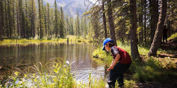 A child playing by a calm forest lake surrounded by mountains.