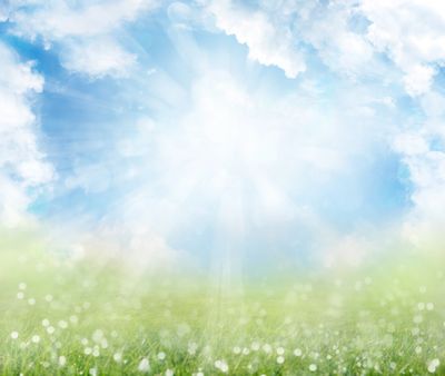 Bright sunny sky with green grass and fluffy clouds.