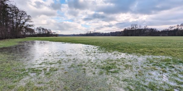 Flooded field with cloudy sky.