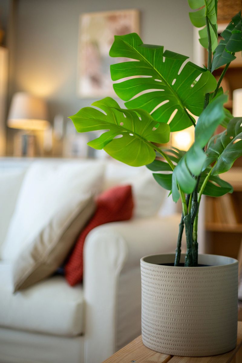 Close-up of an artificial Monstera deliciosa plant in the living room.