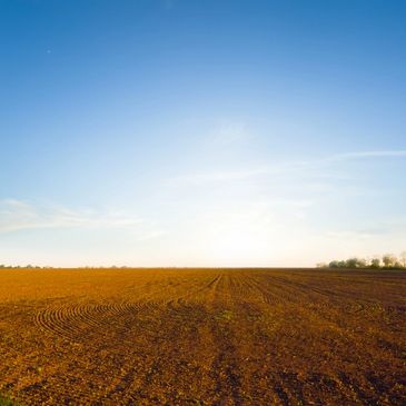 A vast plowed field under a clear blue sky at sunrise or sunset.