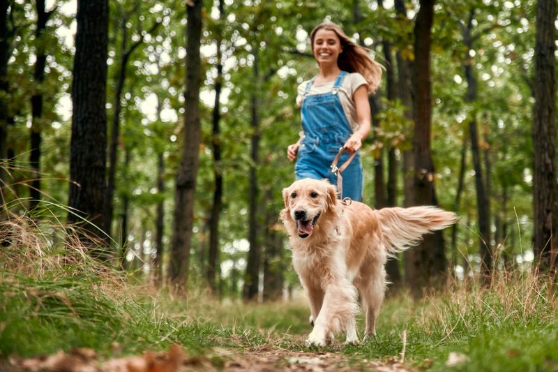 A joyful woman in comfortable overalls walks through a lush green forest with her playful golden retriever, both enjoying the wonders of nature and the delightful companionship of her pet