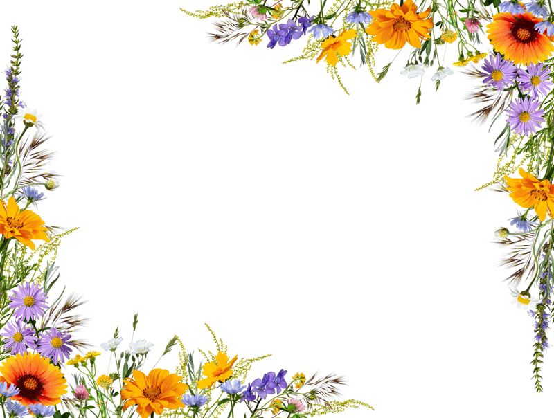 Design element for creating cards, frames, invitations, floral designs.