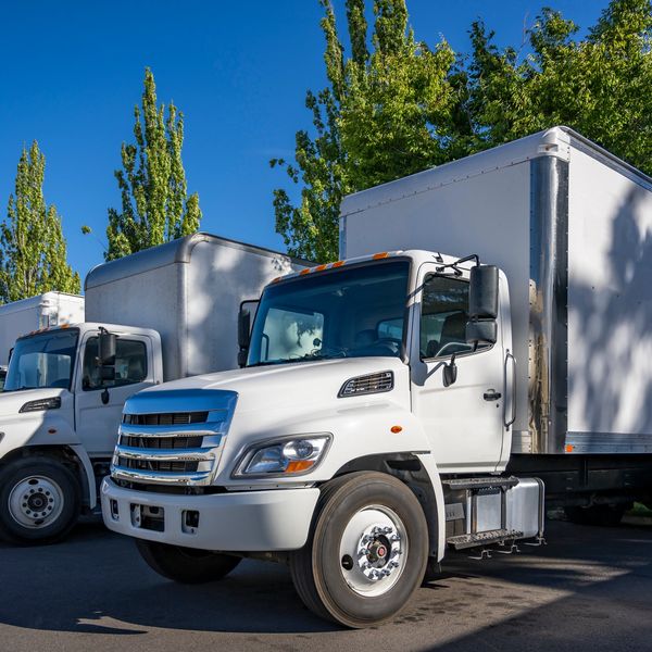 A row of white box trucks parked under clear blue sky.