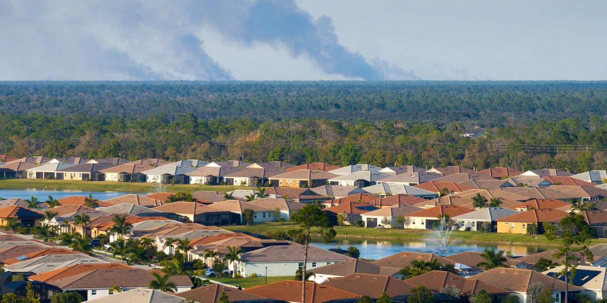 Suburban neighborhood with smoke rising in the distant forest beyond.