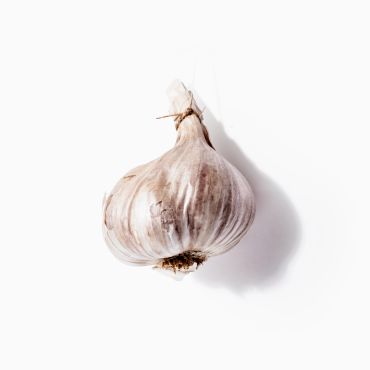 A single garlic bulb on a white background.