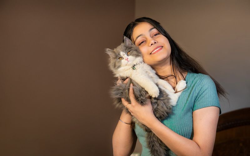 cheerful young woman sitting on bed and playing with her gray and white color Persian cat at home and enjoying her leisure time.