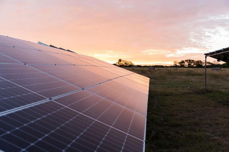 Solar panels reflecting sunset glow in a rural Texas landscape.  Clean energy, sustainability.