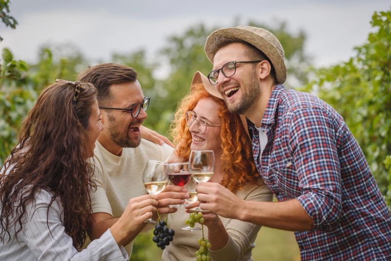 Friends raising their wine glasses in a celebratory toast at a vineyard. They are smiling and enjoying a wine-tasting experience outdoors, surrounded by lush greenery and scenic views.