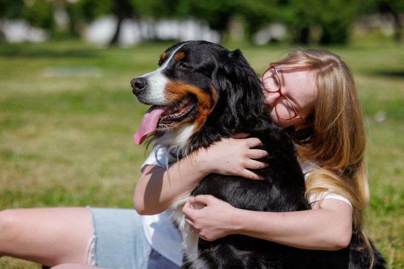 Young woman hugging her happy Bernese Mountain Dog in a sunny park, enjoying a warm moment of love and companionship outdoors