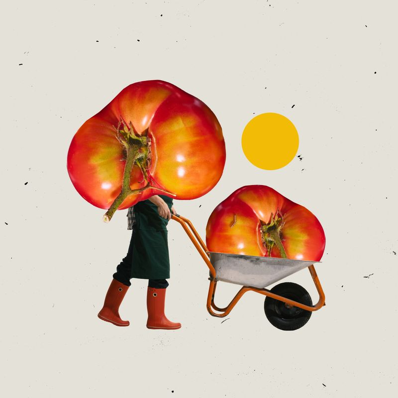 Contemporary art collage. Farmer with tomato head pushing wheelbarrow loaded with oversized produce. Surrealism. Concept of agriculture, harvest, organic farming, sustainability, food production.