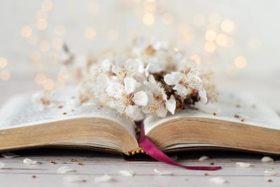 Open book with white flowers and bokeh lights.