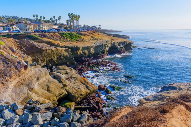 Vivid landscape of a San Diego coastal cliff featuring rugged rocks, green vegetation, and palm trees under bright sunlight, showcasing the Pacific Ocean's serene beauty.