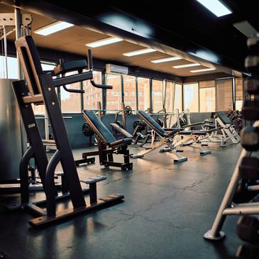 Empty gym with various workout machines and benches in natural light.