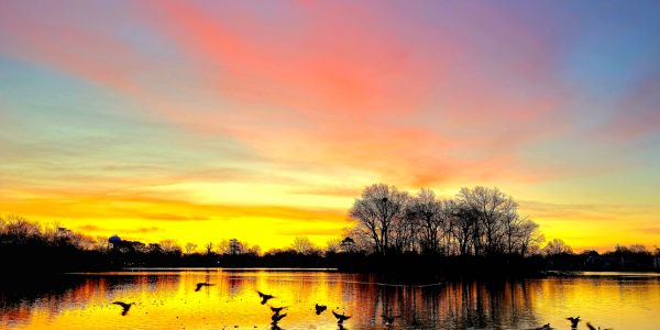 Colorful sunset over a lake with birds flying and trees reflected in the water.