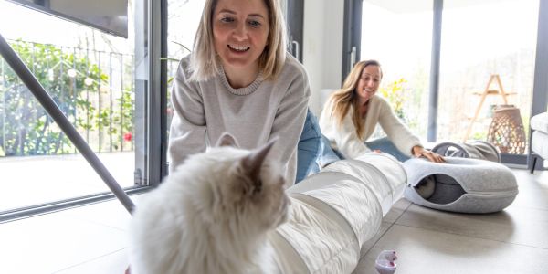 Person pets an orange cat indoors.