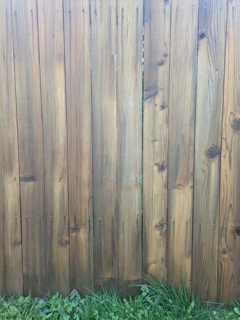 Wood Fence Slat Background With Grass