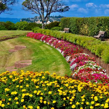 Commercial lush green lawn maintained by GroundWise in Hampton Roads