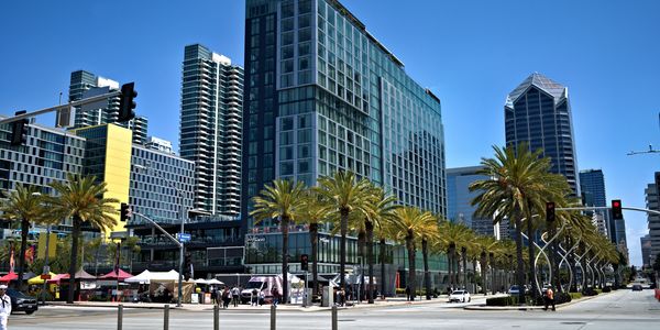 City street lined with palm trees and modern high-rise buildings under a clear blue sky.