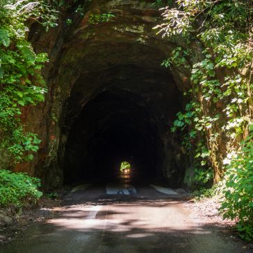 Dark tunnel surrounded by greenery.