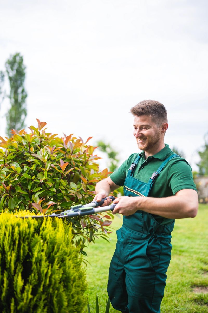 Shot of professional gardener trimming hedge in beautiful garden.