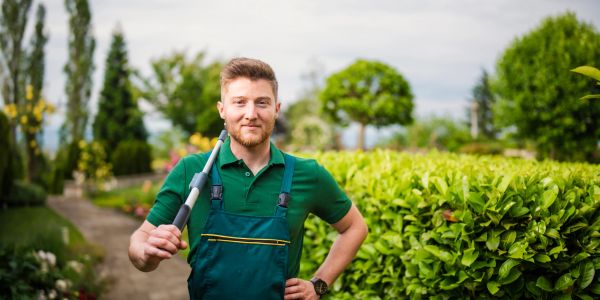 Gardener with hedge trimmer in a garden.