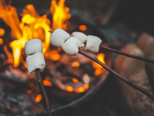 Rock Ledge Property Management, LLC