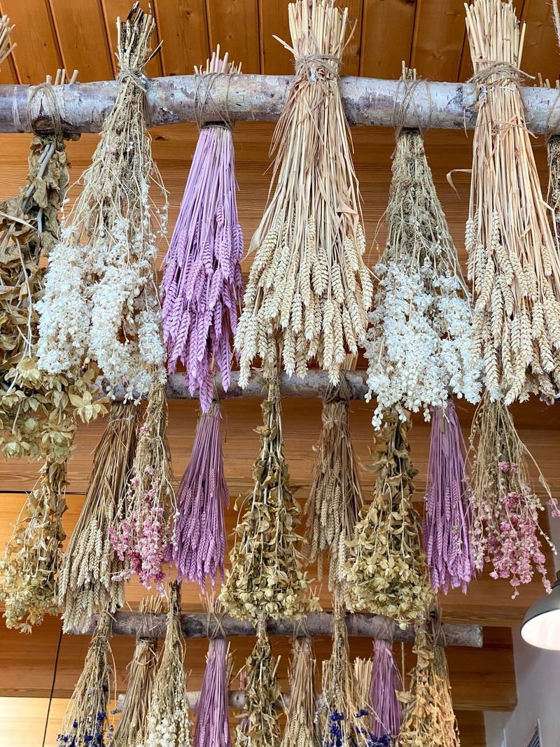 Assorted dried flower bunches tied and hung from rustic rods
