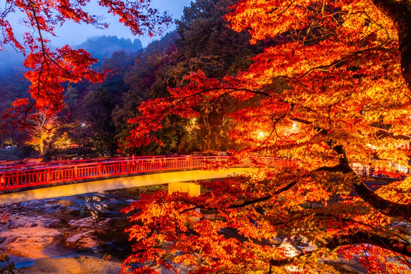 Korankei's autumn splendor, Japan, illuminates a red bridge over a gentle stream. Fiery maple leaves glow, framing a tranquil twilight scene.