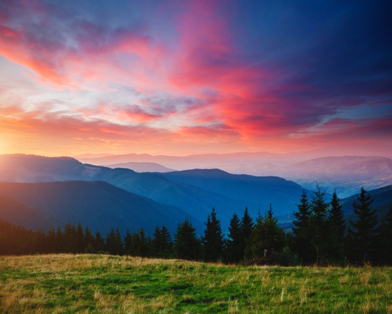 Beautiful alpine highlands in morning light. Location place Carpathian mountains, Ukraine, Europe. Summer holiday season. Adventure vacation. Majestic and gorgeous day. Discover the beauty of earth.