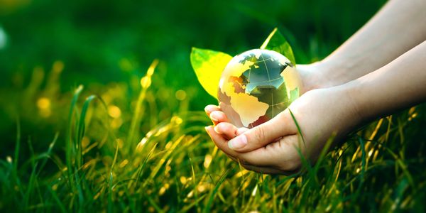 Hands gently holding a glass globe with leaves in a green field.