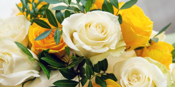 A bouquet of white and yellow roses with green leaves.