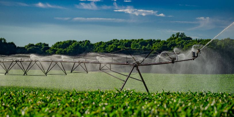 Farmer's crop with large irrigation apparatus watering the field