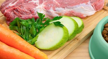 Fresh raw ingredients, including beef, and carrot,s for safe pet nutrition