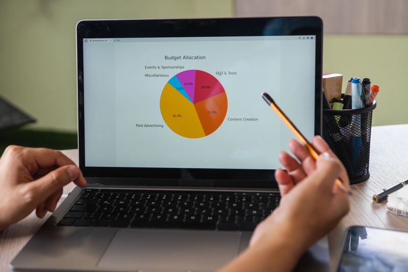 Marketing professional analyzing budget allocation chart displayed on a laptop screen, using a pencil to point at specific data, focusing on paid advertising, content creation and other expenses