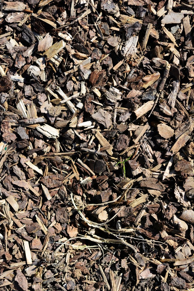 A high-angle, close-up shot of wood chips and bark mulch, showcasing their natural texture and earthy tones