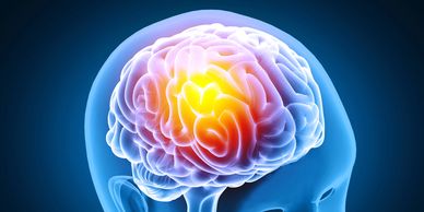 3d image of image of brain highlighted in orange